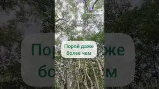 #релак #красивыйголос #мама #релакс #аффирмациидляженщин #аффирмации