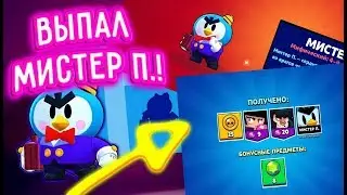ВЫБИЛ НОВОГО БРАВЛЕРА МИСТЕРА П.!