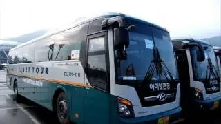 hyundai bus