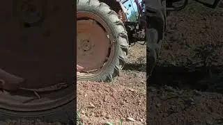 т-25 окучивание 