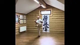 #karate #kyokushin #martialarts #iko #kww #yakunin #hanshi