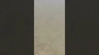 Когда ты знаешь, что лето заканчивается...