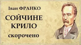 СОЙЧИНЕ КРИЛО стислий переказ новели Івана ФРАНКА | Головні герої | Аналіз твору