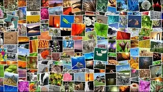 The Best Free Ways to Share Photos With Friends and Family (Other Than Facebook)