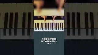 #musictheory #musictheoryforbeginners #learntheory #musiceducation #musiclessons #music