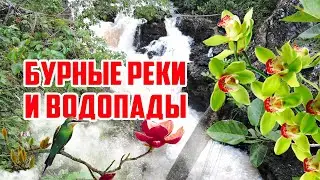 Бурные реки и водопады 🌊 Штат Гояс Бразилия