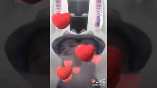 18 марта 2018 г.