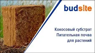 Кокосовый субстрат - питательная почва для растений