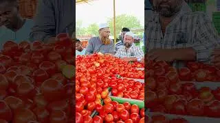 Punganur tomato Market 🍅🍅 4/10/2024 #punganurtomatomarket #tomato #trending