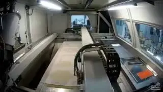 Промышленный 3D принтер / Industrial 3D printer