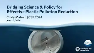 Cindy Matuch Capstone Project: Bridging Science and Policy for Effective Plastic Pollution Reduction