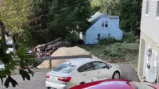 LOT CLEARING