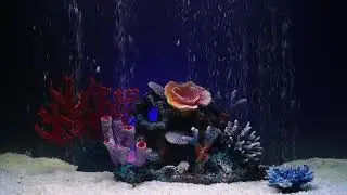 Риф морской для аквариума Marvelous Aqva, Ж-13, 40х25х30см. Дизайн аквариума 100л