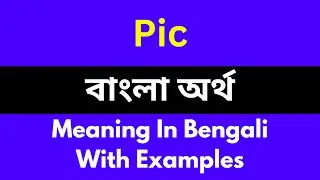 Pic meaning in bengali/Pic শব্দের বাংলা ভাষায় অর্থ অথবা মানে কি