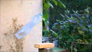 Slowmotion Shooting Bottle Rocket
