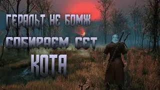 Мой ведьмак не БОМЖ!(Нет). Собираем сет Кота III.