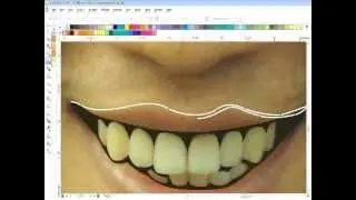 How to drawing vector line art lips and nose ( CorelDraw )