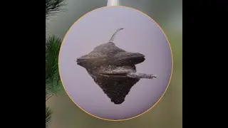 Жмыхнуло