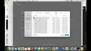Mulai Coding Python di VS Code dalam 9 Menit (Contoh Segmentasi Pembuluh Darah)