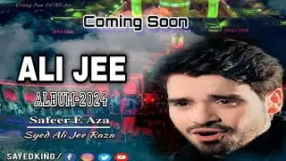 Ali Jee New Noha 2024