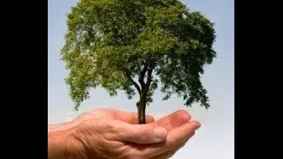 (1) Planter er ligesom alle andre levende ting på jorden. De optager ilt og afgiver CO2!
