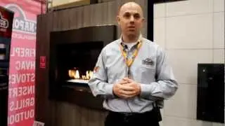 Napoleon Gas Fireplace