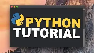 Python Tutorial | Was ist eigentlich ein Integer?