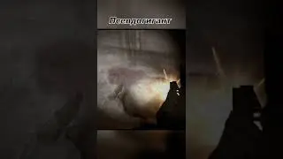 Коротко о Псевдогиганте в Stalker!!! Псевдогигант в  Сталкер//Кто такие Псевдогиганты в Сталкер