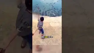 The Crocodile Was Hungry For Something Else... 🥲❤️