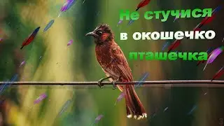 Не стучися в окошечко пташечка (2) - cтарые Христианские песни