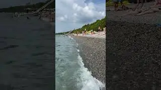 Abkhazia. Pitsunda. Beach. Pines. Абхазия. Пицунда. Пляж. Сосны.