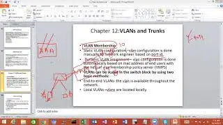 VLANs and Trunks