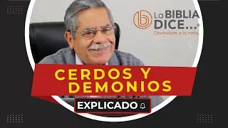 Pigs and Demons [EXPLAINED] - Question of the Day -