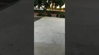 Who's high? Not me!