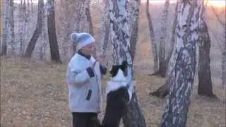 Обучение лайки