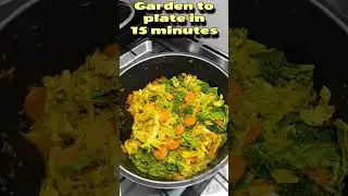 Organic Cabbage, Harvested & Served in 15 minutes. So Fresh!