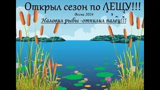 Открыл сезон по Лещу !!! Наловил рыбы-отпилил палец !!! Весна-2024.
