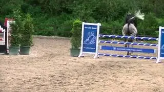 What a Kashmir X Cruising X Burggraaf