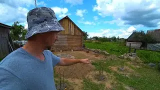 Сваи Гаража, Сбор Лисичек и Аптекарский Сад
