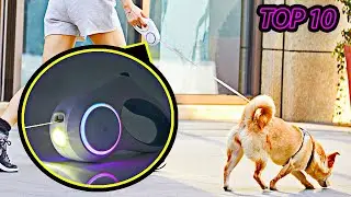 TOP 10 BEST PET PRODUCTS 2021 FROM AMAZON & ALIEXPRESS