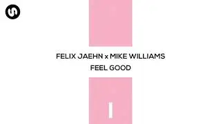 Felix Jaehn, Mike Williams - Feel Good (Acapella Studio)