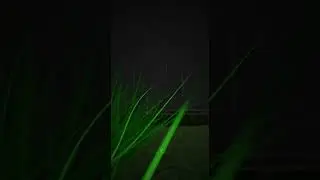 Never Visit Farm-well In Rainy Nights 