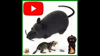 Мышь на радиоуправлении игрушка для кошек котов и собак
