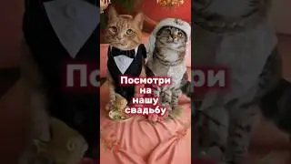 Пушистая свадьба 