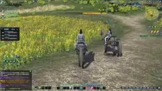 Moonlight Blade - Zhenwu - Daily quest (and/or bandit catching guide)