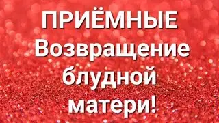 Дневник приёмной мамы/Обзор.