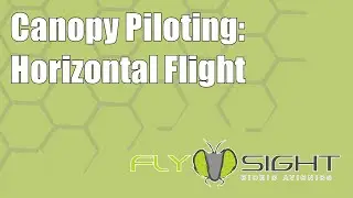 Canopy Piloting: Horizontal Flight