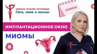 Окно имплантации и миома матки: важные аспекты для успешного ЭКО