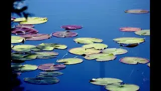 CONCORSO FOTOGRAFICO 