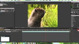 Day To Night Transition | Adobe After Effects
